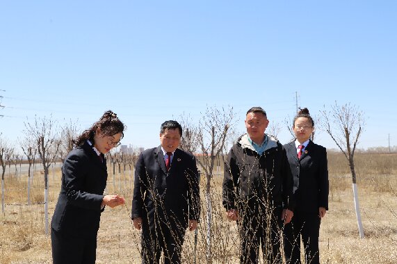 改5.jpg